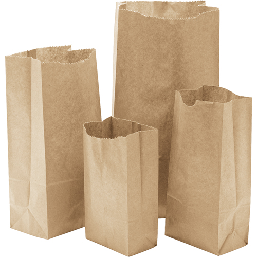 Paper Bags, Paper, 4-13/16" W x 8-1/2" L Southpoint Industrial Supply