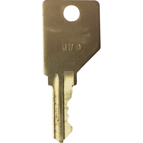 Replacement Key for Frost Smoking Receptacles Southpoint Industrial Supply