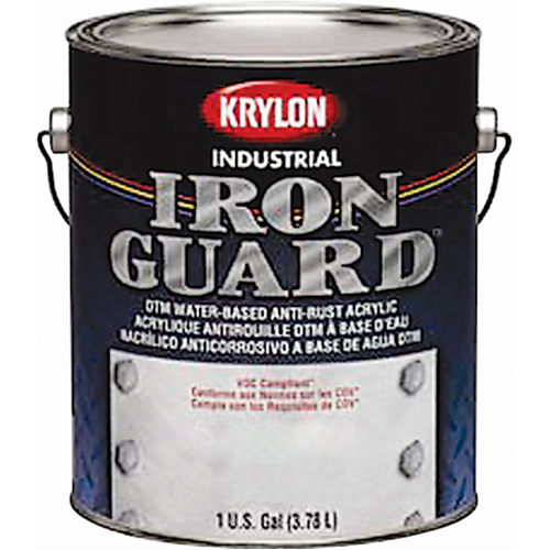 Industrial Iron Guard&reg; Water-Based Enamel, Can, Grey Southpoint Industrial Supply