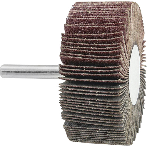 Disque &agrave; lamelles mont&eacute;, Grain 120, 2-1/2" x 1" x 1/4" Southpoint Industrial Supply