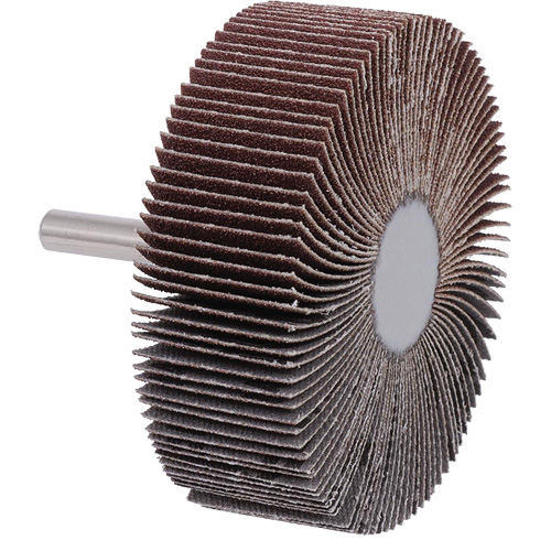 Disque &agrave; lamelles mont&eacute; sur mandrin, Grain A120, 3" x 1" x 1/4" Southpoint Industrial Supply
