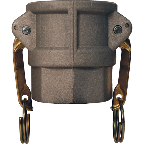 Coupleur &agrave; came et cannelure Global, Aluminium, Type D, 2-1/2", NPT femelle, 250 PSI Southpoint Industrial Supply