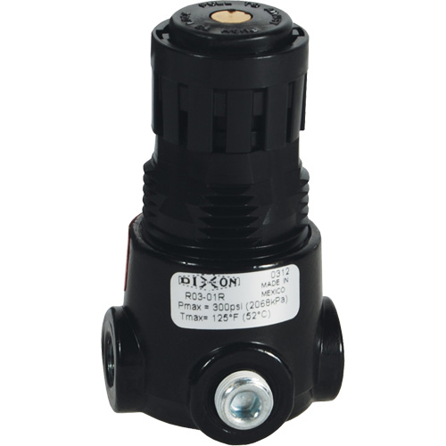 R&eacute;gulateur miniature R03 Wilkerson, 1/4" NPT, PSI max. de 300 psi, Standard Southpoint Industrial Supply