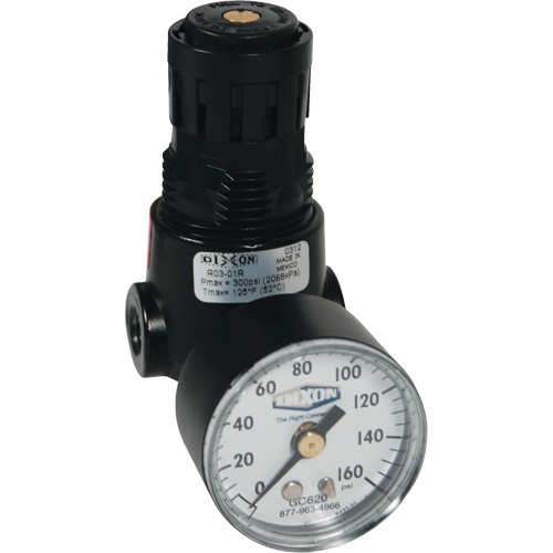 R&eacute;gulateur miniature R04 Wilkerson, 1/4" NPT, PSI max. de 300 psi, Standard Southpoint Industrial Supply
