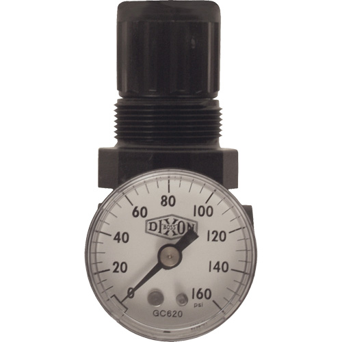 R&eacute;gulateur miniature de s&eacute;rie 1, 1/8" NPT, PSI max. de 100 psi, Standard Southpoint Industrial Supply