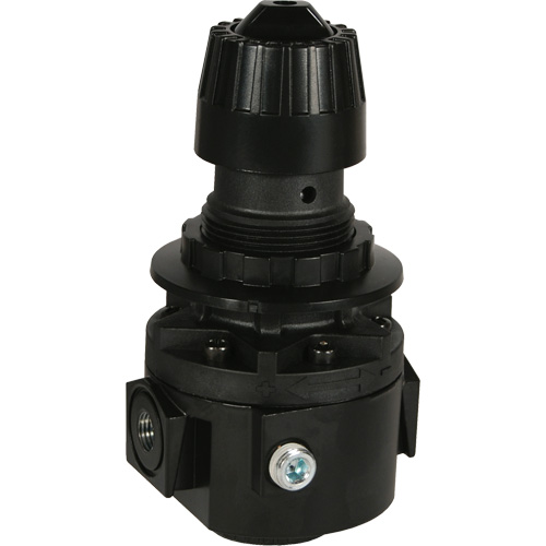 R&eacute;gulateur Wilkerson R26, 3/8" NPT, PSI max. de 300 psi, Standard Southpoint Industrial Supply
