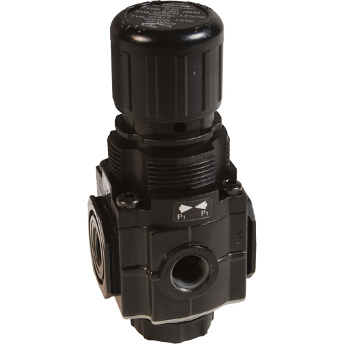 Series 1 Manifold Regulator, 1/4" NPT, 150 PSI Max. PSI, Standard Southpoint Industrial Supply