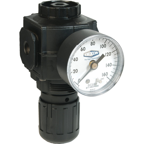 Series 1 Compact Regulator, 1/2" NPT, 150 PSI Max. PSI, Standard Southpoint Industrial Supply