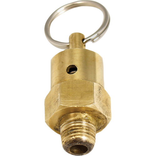 Viton&reg; Pressure Relief Valve Southpoint Industrial Supply