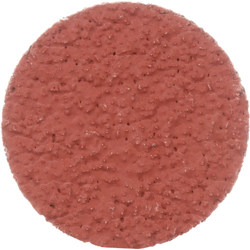 Cubitron II Roloc Durable Edge Disc, 2" Dia., 36+ Grit, Ceramic Southpoint Industrial Supply