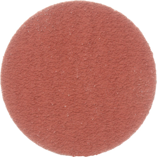 Disque &agrave; d&eacute;ligner durable II Roloc Cubitron, 2" dia., Grain 80+, C&eacute;ramique Southpoint Industrial Supply