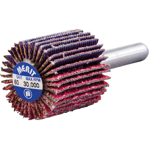 Mini-meule &agrave; lamelles mont&eacute;e sur tige, C&eacute;ramique d'alumine, Grain 60, 1" x 1" x 1/4" Southpoint Industrial Supply