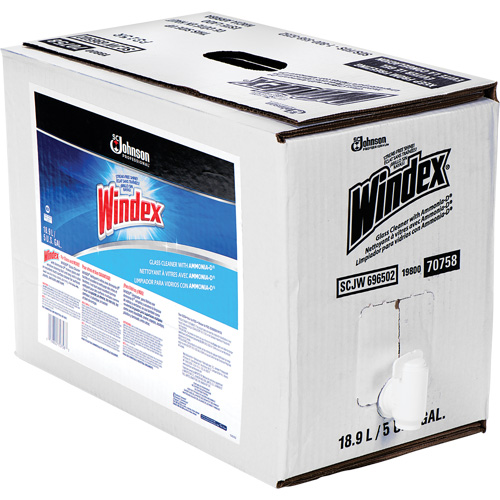 Nettoyant pour vitres Windex avec Ammoniac-D, 5 gal., Sac Southpoint Industrial Supply
