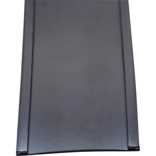 Porte-&eacute;tiquette, Magn&eacute;tique, 600" lo x 2" la Southpoint Industrial Supply
