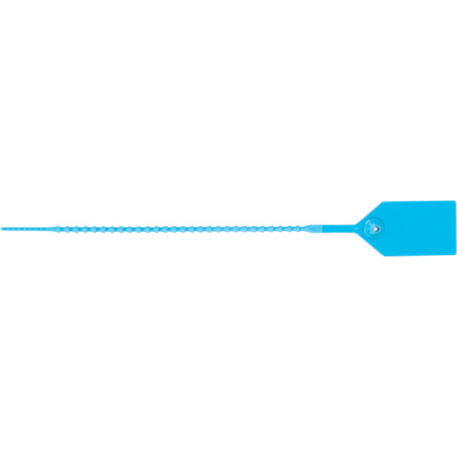 Scell&eacute; de s&eacute;curit&eacute; standard, 9", Plastique, Scell&eacute; en plastique Southpoint Industrial Supply