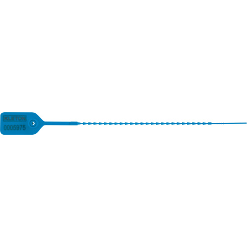 Scell&eacute; de s&eacute;curit&eacute; standard, 9", Plastique, Pousser et tirer Southpoint Industrial Supply