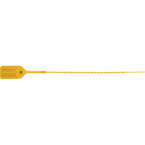 Scell&eacute; de s&eacute;curit&eacute; standard, 9", Plastique, Pousser et tirer Southpoint Industrial Supply