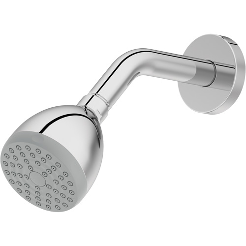 One-Function Showerhead Southpoint Industrial Supply