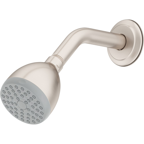 One-Function Showerhead Southpoint Industrial Supply