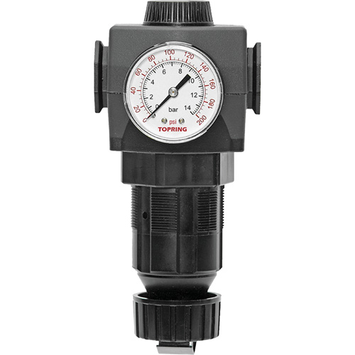 Regulator with Gauge Modulair 400, 3/4" NPTF, 125 PSI Max. PSI, In Line/Modular Southpoint Industrial Supply