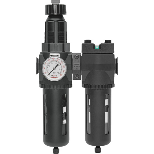 Filtre/d&eacute;tendeur & filtre coalescent Modulair 400 avec bol standard & drain manuel, 3/4" NPTF, 150 psi, Capacit&eacute; de 9,13 oz liq. Southpoint Industrial Supply