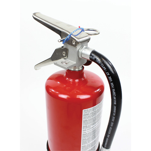 Extincteur d'incendie, ABC, Capacit&eacute; 10 lb Southpoint Industrial Supply