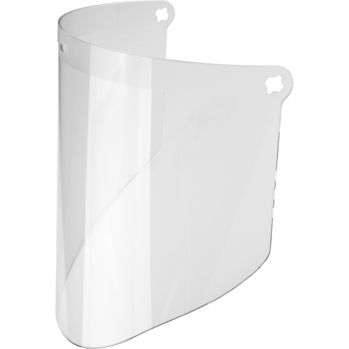 Visi&egrave;re WP96 de rechange, Polycarbonate, Teinte Transparent Southpoint Industrial Supply