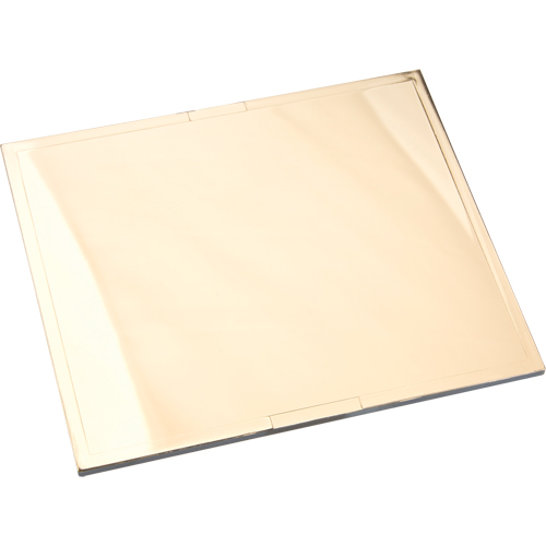 Plaques filtrantes Omni-View en or Southpoint Industrial Supply