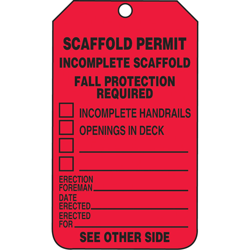 Inspection Tags, Cardstock, 3-1/8" W x 5-7/8" H, English Southpoint Industrial Supply
