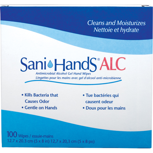 Lingettes antimicrobiennes pour les mains Sani-Hands ALC, Pochette Southpoint Industrial Supply