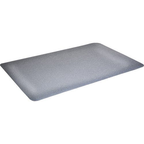 Tapis antimicrobiens WD Foodmaster, Lisse, 3' x 4' x 9/16", Gris, Mousse de vinyle Southpoint Industrial Supply