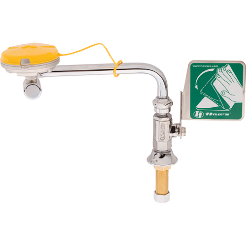 Axion&reg; Eye/Face Wash Station, Sink Mount Installation Southpoint Industrial Supply