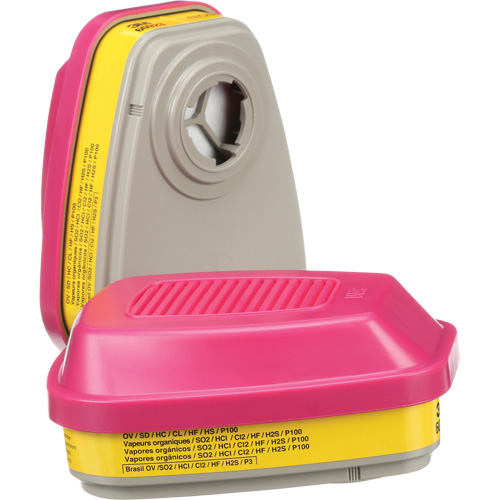6000 Series Respirator Cartridges, Gas/Vapour Cartridge, Organic Vapour/Acid Gas/P100 Southpoint Industrial Supply