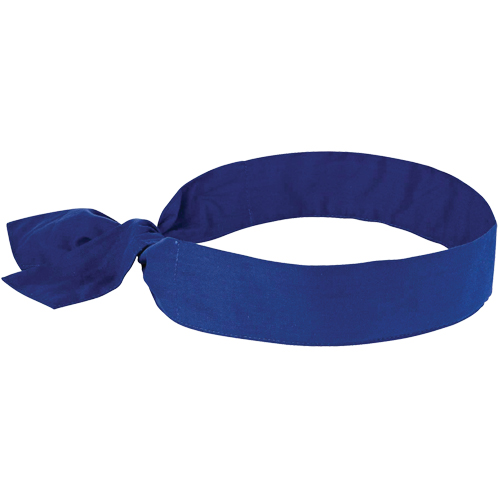 Foulards de refroidissement Chill-Its 6700, Bleu Southpoint Industrial Supply