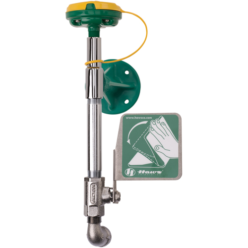 Axion&reg; Eye/Face Wash Station, Wall-Mount Installation Southpoint Industrial Supply