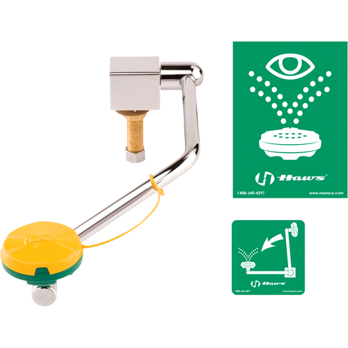 Eye/Face Wash Station, Sink Mount Installation Southpoint Industrial Supply
