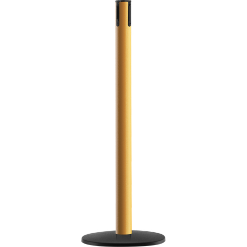 Advance TensaBarrier&reg; - Receiver Post, 36" High, Yellow Southpoint Industrial Supply