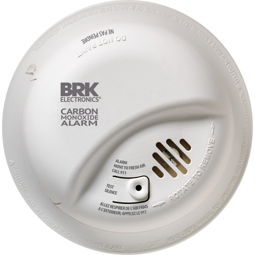 Carbon Monoxide Alarm Southpoint Industrial Supply