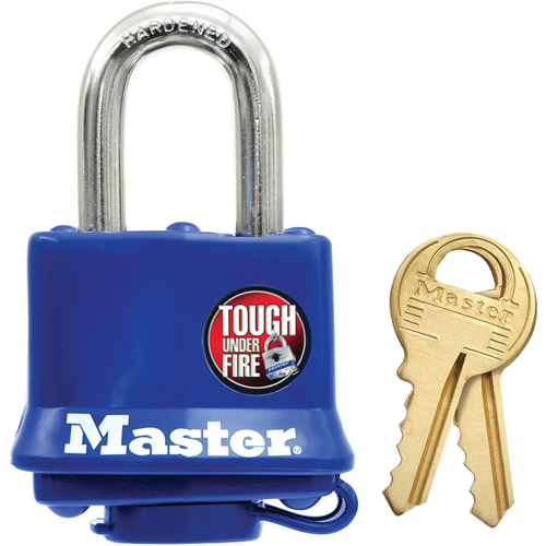 Cadenas r&eacute;sistant aux intemp&eacute;ries, Bleu, Cl&eacute;s diff&eacute;rentes, Acier lamin&eacute;, Largeur de 1-9/16" Southpoint Industrial Supply