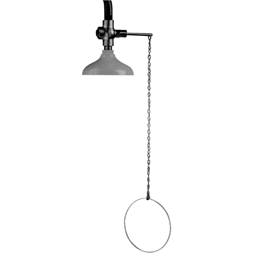 Lifesaver&reg; Emergency Overhead Showers, Ceiling-Mount Southpoint Industrial Supply