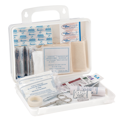 Trousse de premiers soins pour camion Dynamic, Dispositif m&eacute;dical Classe 1, Boîte en plastique Southpoint Industrial Supply