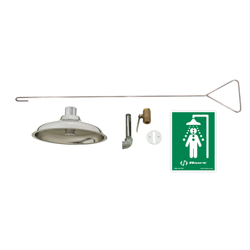 Concealed Drench Shower, Ceiling-Mount Southpoint Industrial Supply
