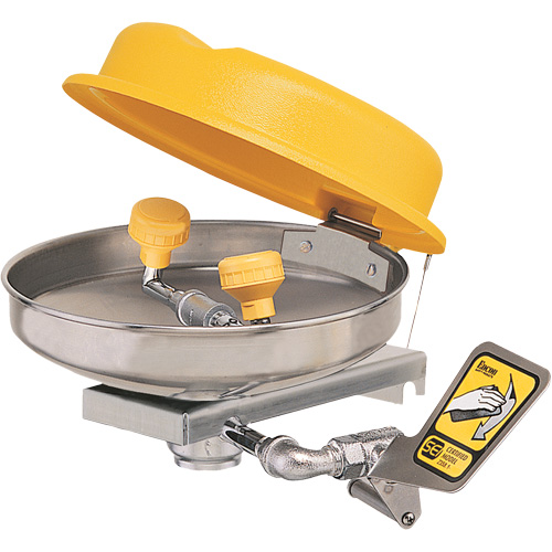 Eyewash Station, Wall-Mount Installation, Stainless Steel Bowl Southpoint Industrial Supply