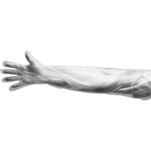 Disposable Gloves, Large, Polyethylene, 9-mil, Powdered, Clear Southpoint Industrial Supply