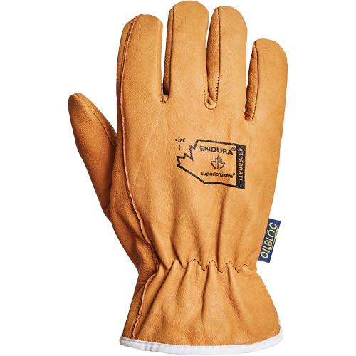 Endura&reg; Driver's Glove, Small, Grain Goatskin Palm, Thinsulate Inner Lining Southpoint Industrial Supply