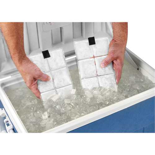 Sachets pour veste de refroidissement &agrave; changement de phase 6260 Chill-Its Southpoint Industrial Supply