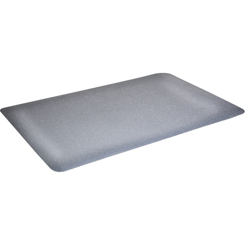 Tapis antimicrobiens WD Foodmaster, Lisse, 3' x 4' x 9/16", Gris, Nitrile/Caoutchouc Southpoint Industrial Supply