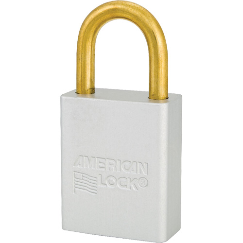 Cadenas de s&eacute;curit&eacute; American Lock, Transparent, Cl&eacute;s identiques, Aluminium, Largeur de 1-1/2" Southpoint Industrial Supply