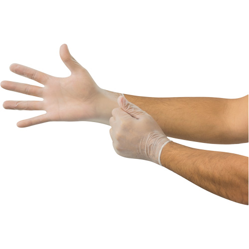 Gants jetables Derma Free MICROFLEX DF-850, 8,5/9/Grand, Vinyle, 3,1 mils/3,5 mils, Sans poudre, Transparent, Classe 2 Southpoint Industrial Supply