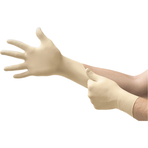 Gants d'examen MICROFLEX Ultra One, 10/9,5/T-Grand, Latex, 9,8 mils, Sans poudre, Naturel, Classe 2 Southpoint Industrial Supply